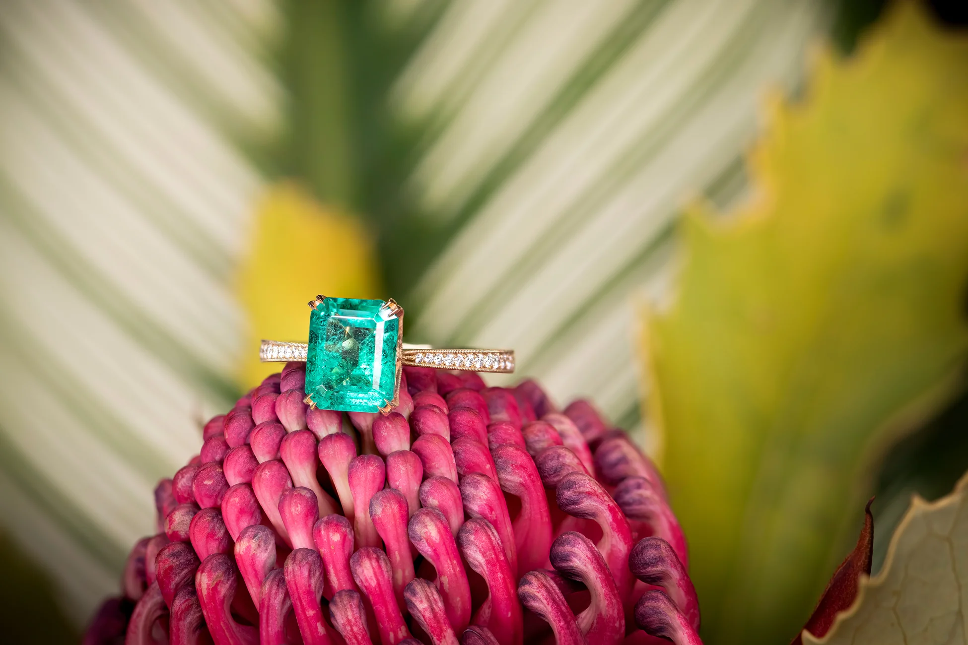 Welcome to Our Store